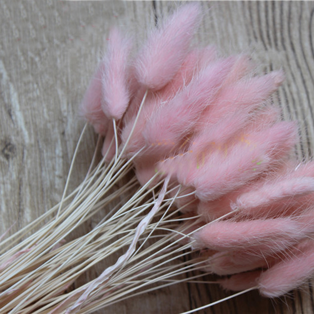 Dried Flower Bunch - 50pcs bouquets de fleurs naturelles séchées