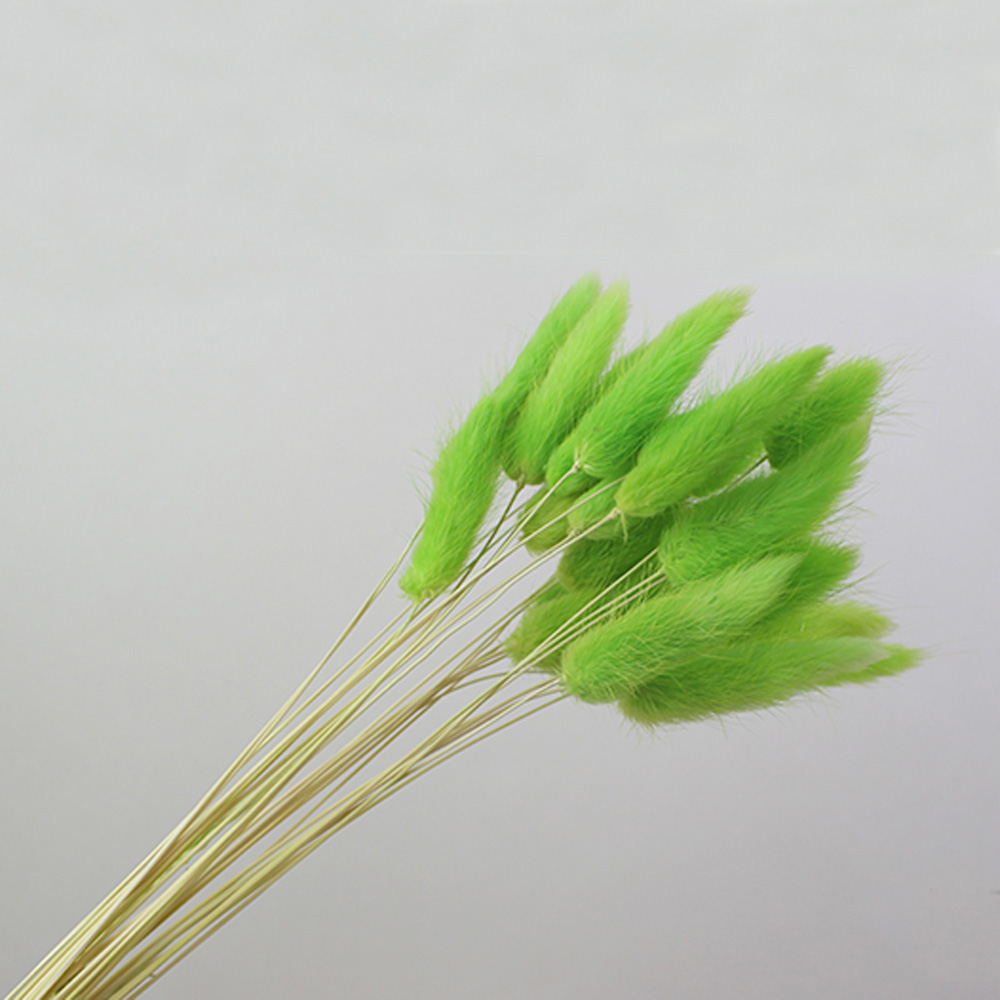 50pcs bouquets de fleurs natur - Dried Flower Bunch avis et prix