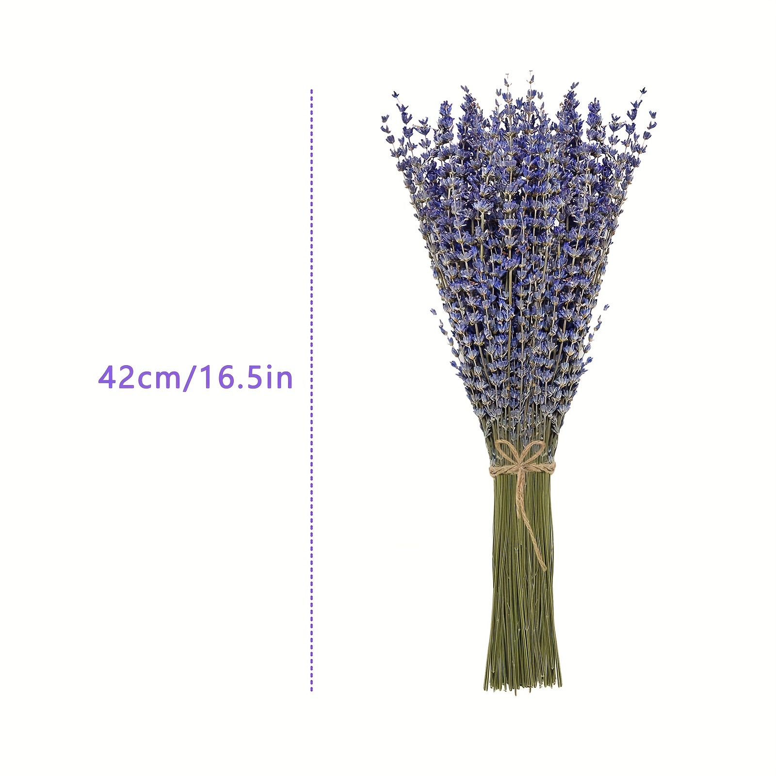 200 pièces/lot de fleurs de la - Dried Flower Bunch avis et prix