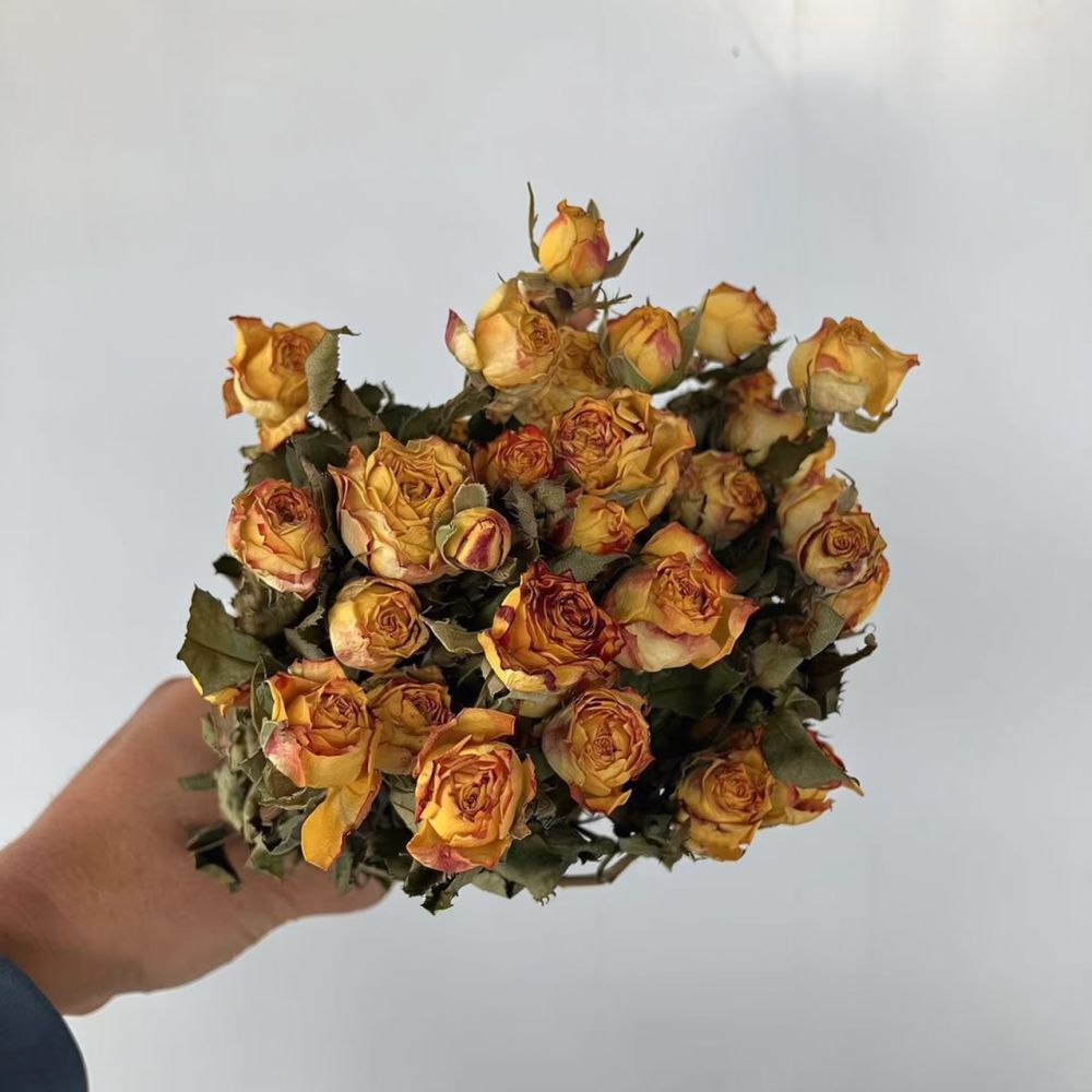 Vrais roses séchées, bouquet d - Dried Flower Bunch avis et prix