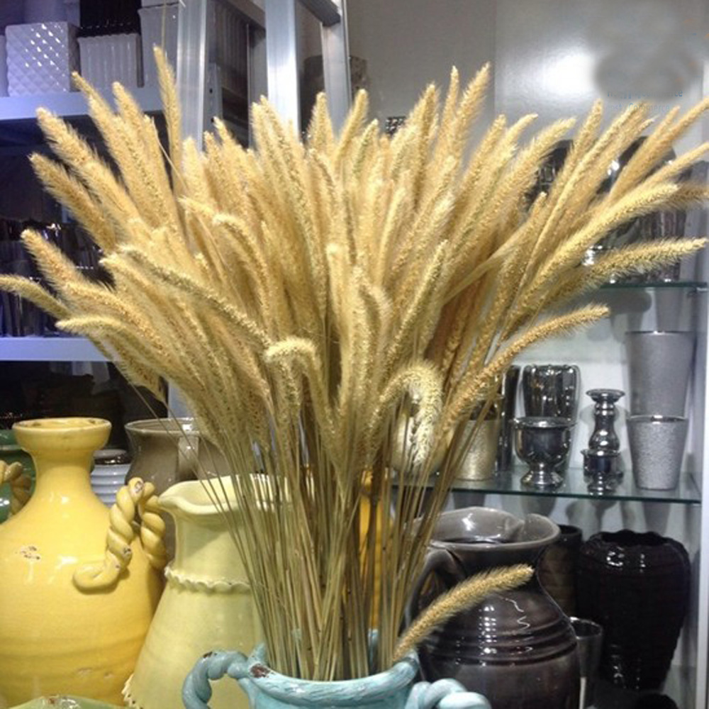 200 pièces naturel séché Lagur - Dried Flower Bunch avis et prix