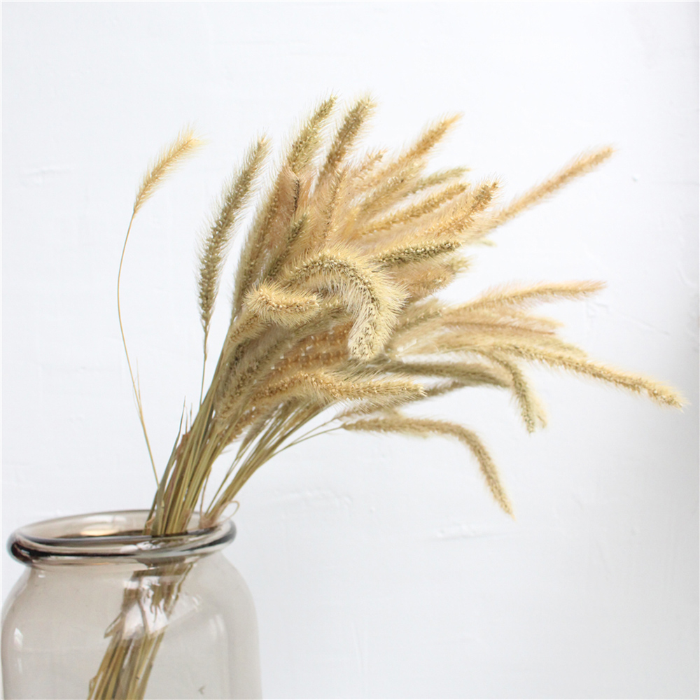 200 pièces naturel séché Lagur - Dried Flower Bunch avis et prix