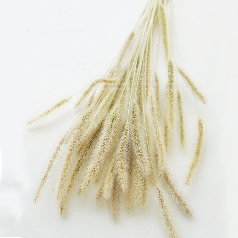 200 pièces naturel séché Lagur - Dried Flower Bunch avis et prix