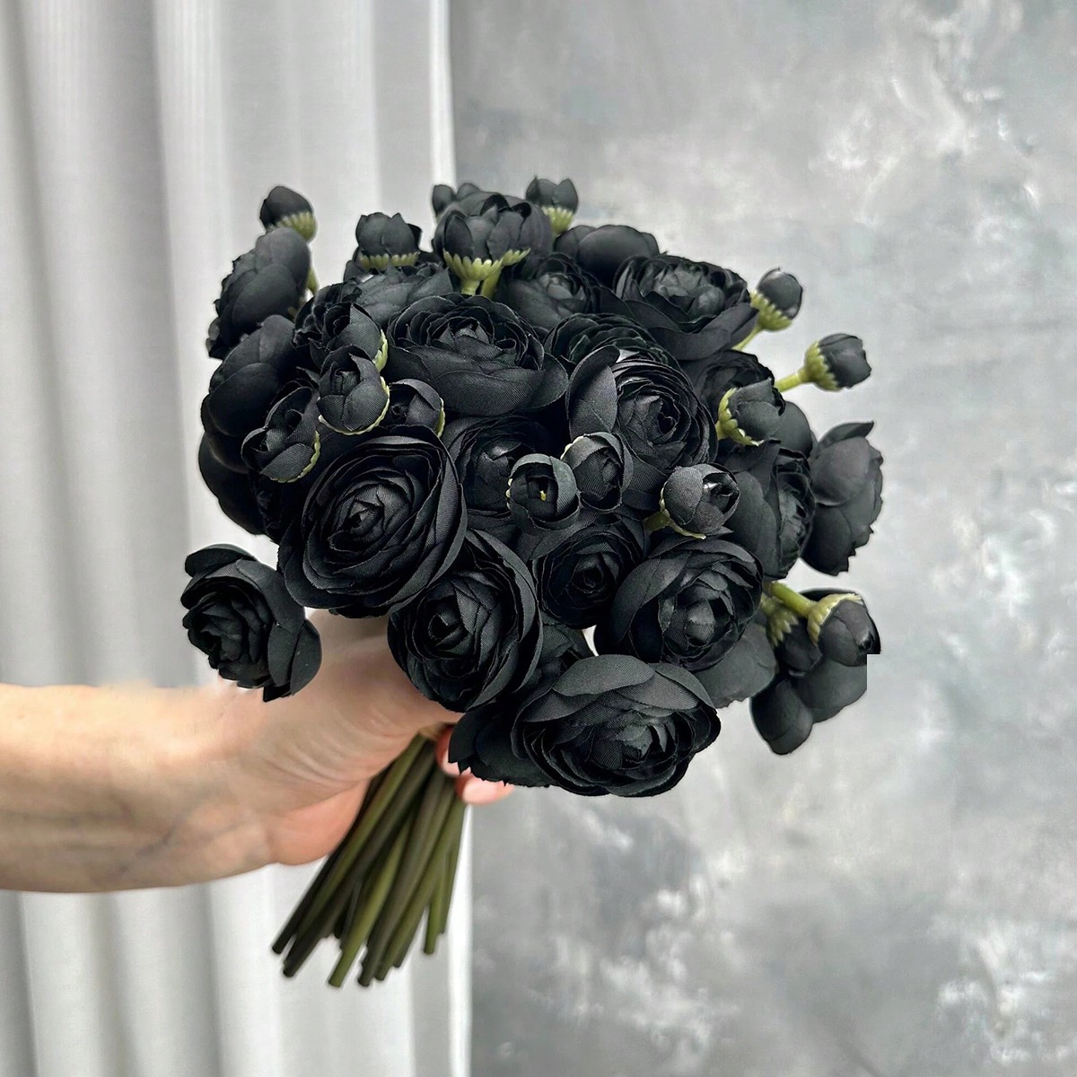 Mini Ranunculus noir, fleur ar - Dried Flower Bunch avis et prix