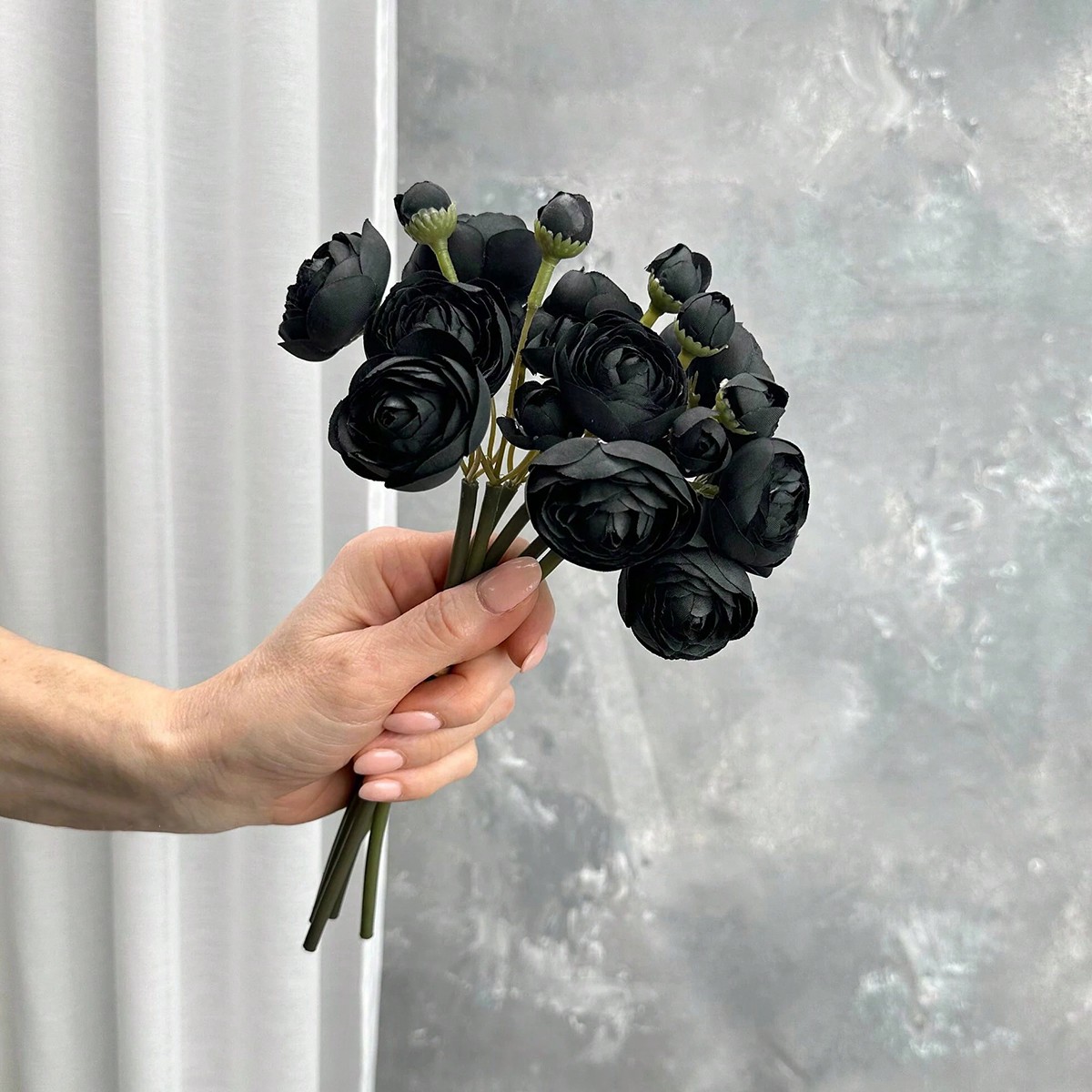 Mini Ranunculus noir, fleur ar - Dried Flower Bunch avis et prix