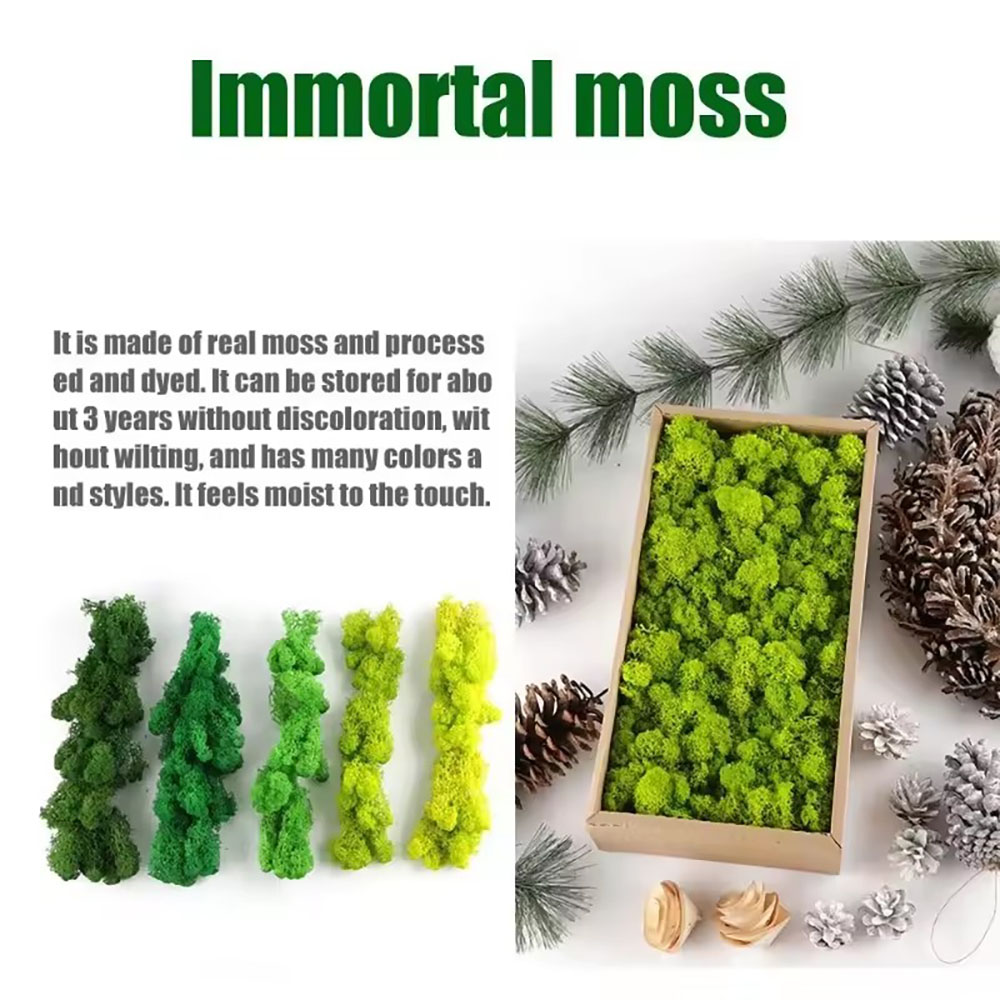 Mousse artificielle Lu Rui de  - Preserved Moss Sheet avis et prix