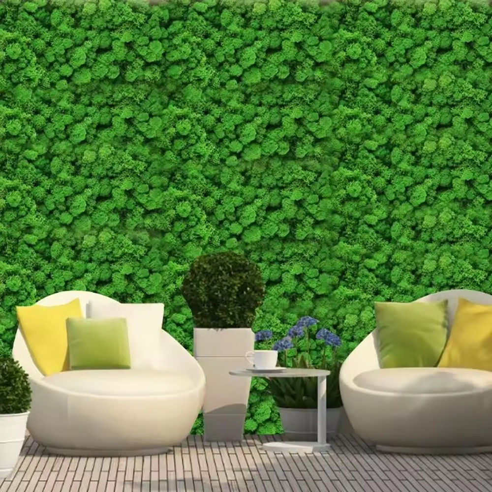 Mousse artificielle Lu Rui de  - Preserved Moss Sheet avis et prix