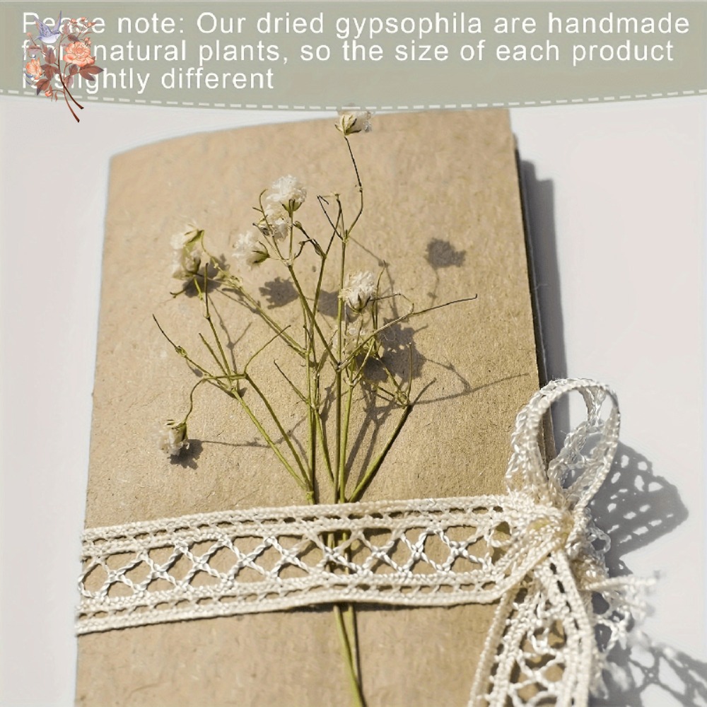 100 mini-fleurs séchées de gyp - Dried Flower Bunch avis et prix